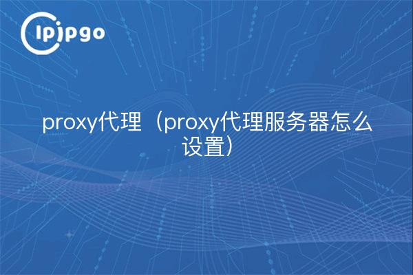 proxy proxy (cómo configurar un servidor proxy proxy)