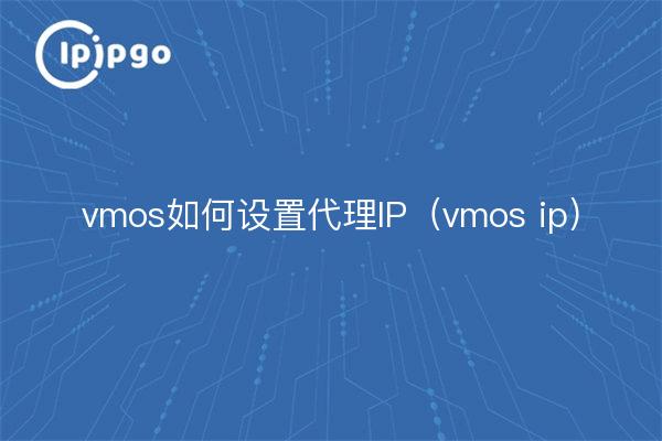 Einstellen der Proxy-IP für vmos (vmos ip)
