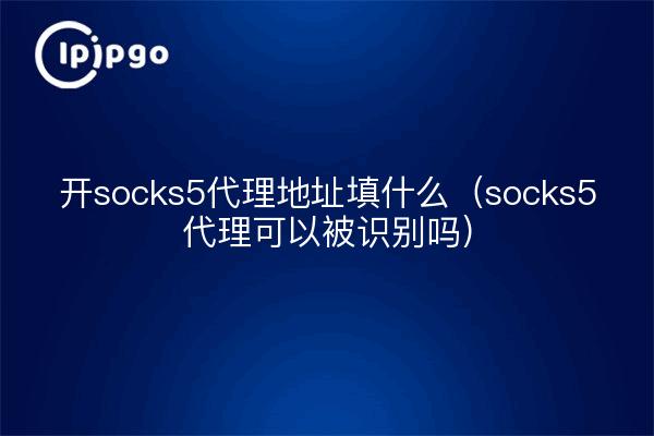 开socks5代理地址填什么（socks5代理可以被识别吗）
