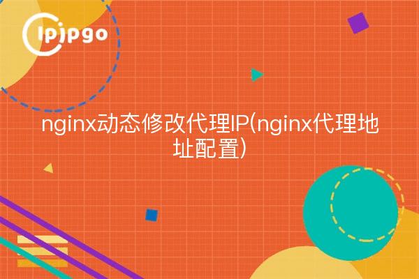 nginx ändert dynamisch die Proxy-IP (Konfiguration der Nginx-Proxy-Adresse)