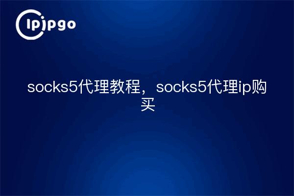 socks5代理教程，socks5代理ip购买