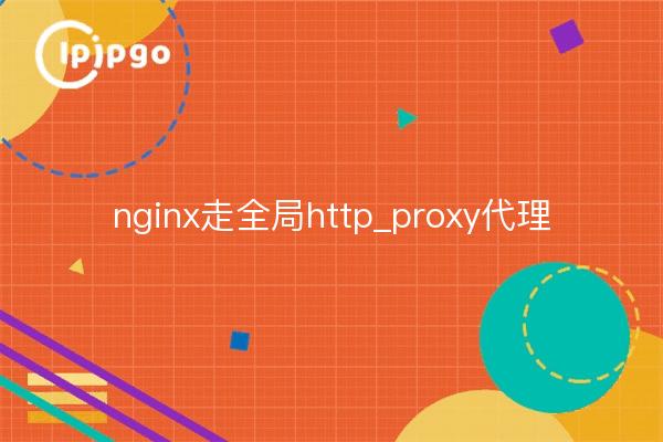 nginx wird global http_proxy proxy