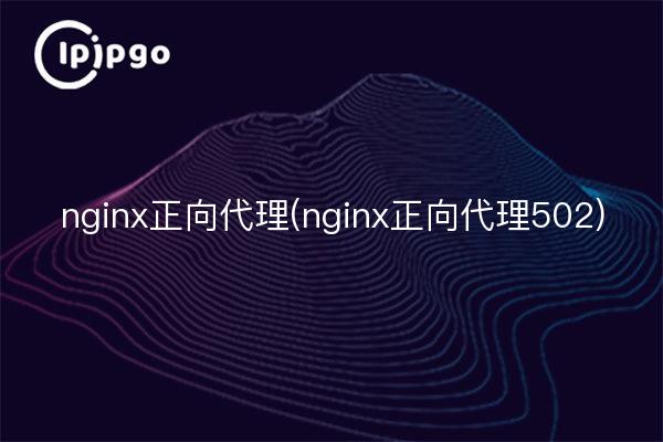 nginx正向代理(nginx正向代理502)