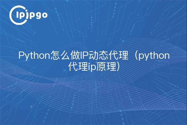 Python comment faire un proxy dynamique IP (ipipgothon proxy ip principle)