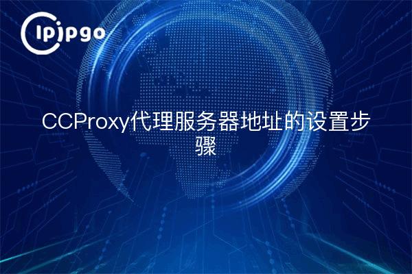 Schritte zur Einrichtung der ipipgo-Proxy-Server-Adresse