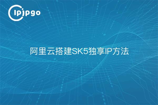 Aliyun build SK5 exclusive IP method