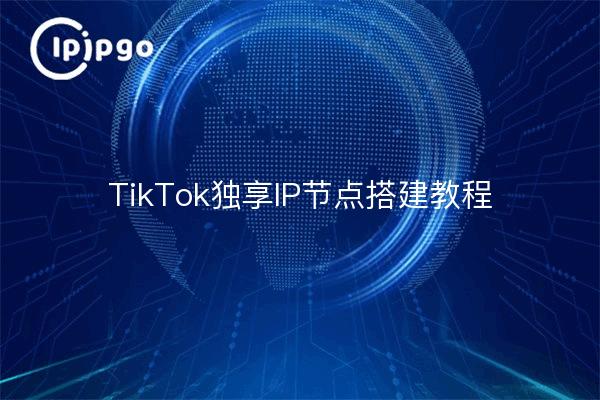 Tutorial de construcción de nodos IP exclusivo de TikTok