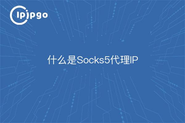 ¿Qué es Socks5 Proxy IP?