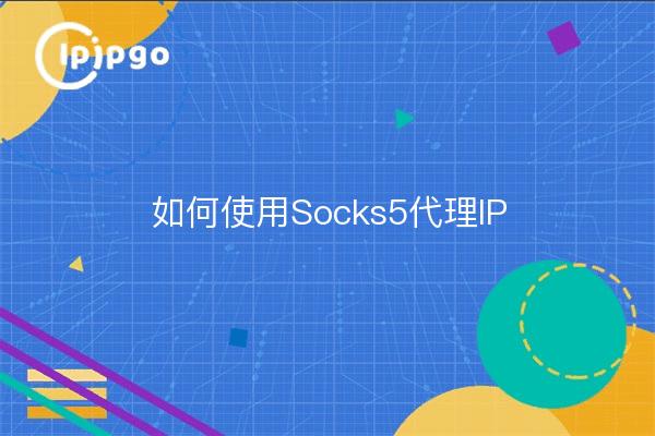 如何使用Socks5代理IP