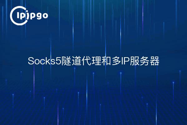 Socks5 Tunnel Proxy and Multi-IP Server