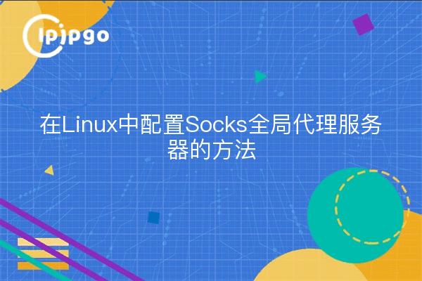Konfiguration eines globalen Socks-Proxy-Servers unter Linux