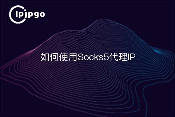 Socks5 proxy IP verwenden