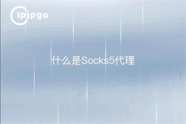 Qu'est-ce que Socks5 Proxy ?