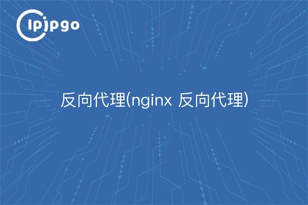 Reverse-Proxy (nginx Reverse-Proxy)