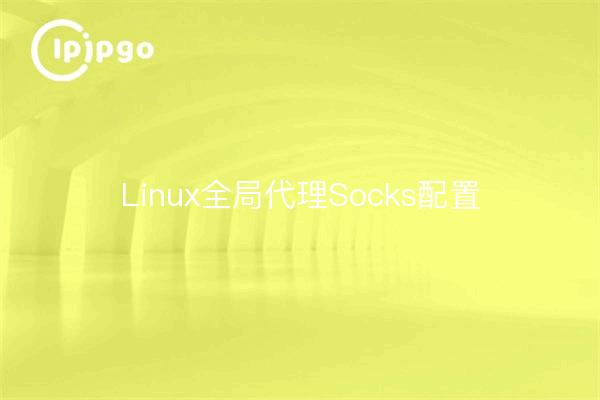 Linux Global Proxy Socks Konfiguration