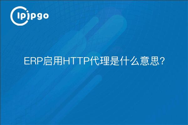 ERP启用HTTP代理是什么意思？
