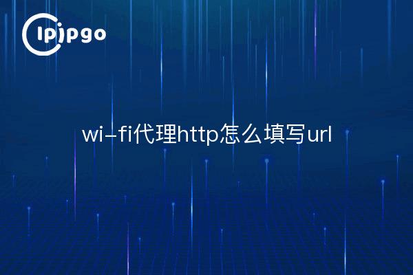 wi-fi proxy http como rellenar url