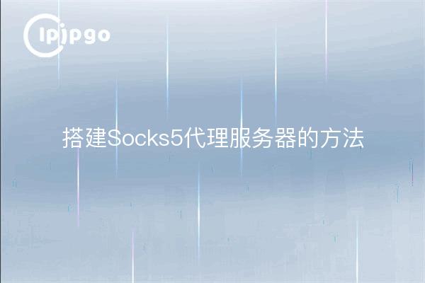 Ways to build a Socks5 proxy server
