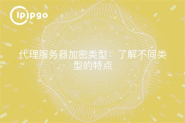 代理服务器加密类型：了解不同类型的特点