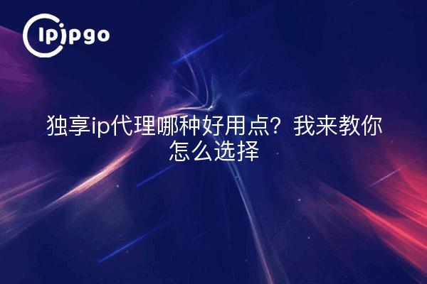 独享ip代理哪种好用点？我来教你怎么选择