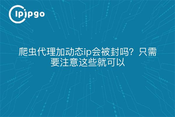 爬虫代理加动态ip会被封吗？只需要注意这些就可以