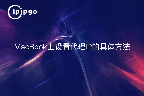 MacBook上设置代理IP的具体方法