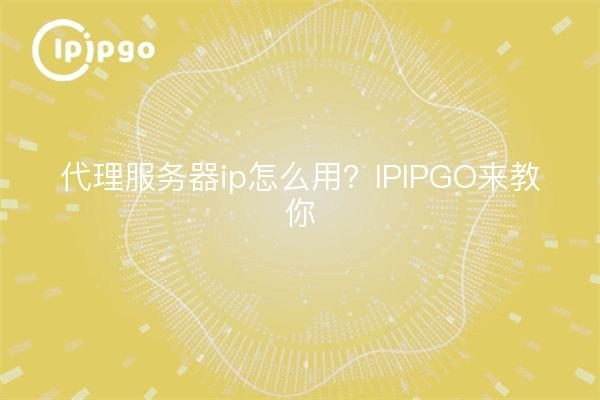 代理服务器ip怎么用？IPIPGO来教你