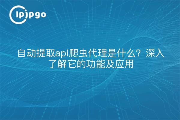 自动提取api爬虫代理是什么？深入了解它的功能及应用