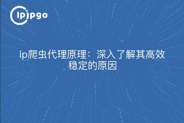 ip爬虫代理原理：深入了解其高效稳定的原因