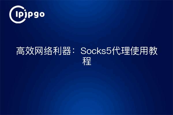 高效网络利器：Socks5代理使用教程