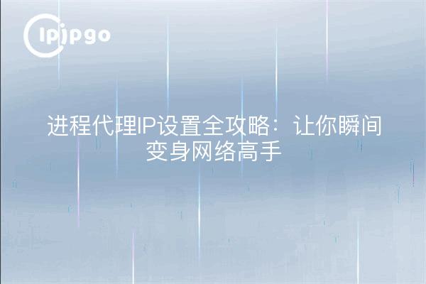 进程代理IP设置全攻略：让你瞬间变身网络高手