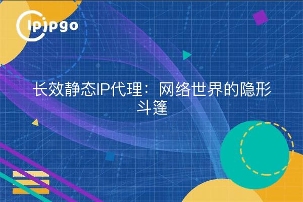 长效静态IP代理：网络世界的隐形斗篷