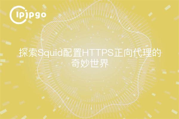 探索Squid配置HTTPS正向代理的奇妙世界