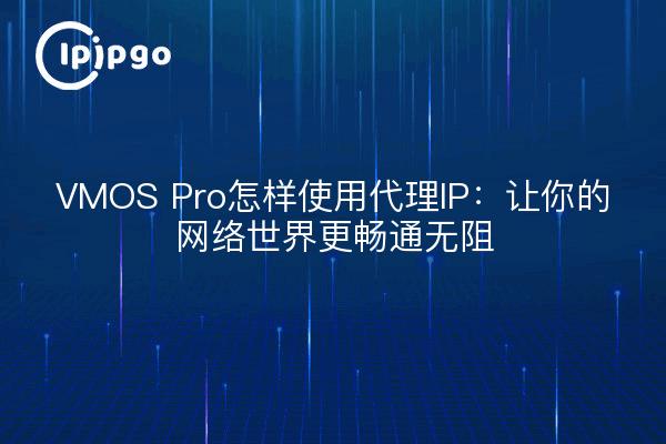 VMOS Pro怎样使用代理IP：让你的网络世界更畅通无阻