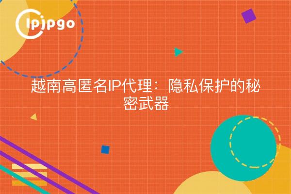 越南高匿名IP代理：隐私保护的秘密武器