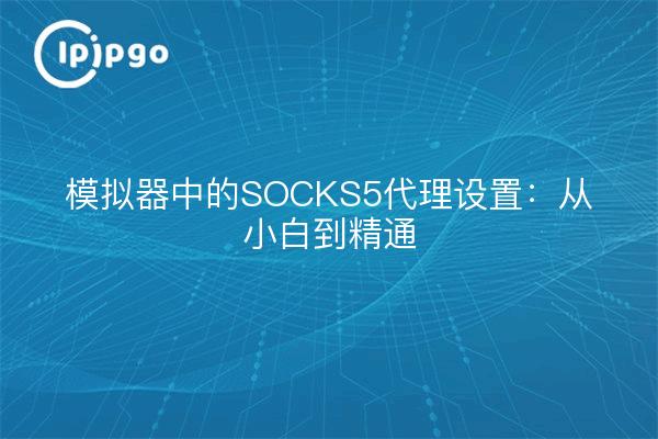 模拟器中的SOCKS5代理设置：从小白到精通