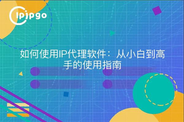 如何使用IP代理软件：从小白到高手的使用指南