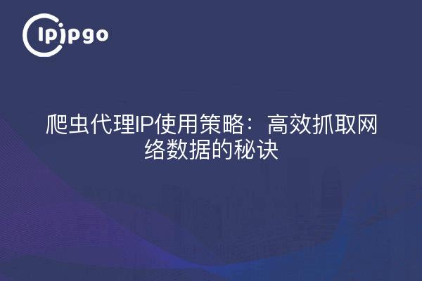 爬虫代理IP使用策略：高效抓取网络数据的秘诀