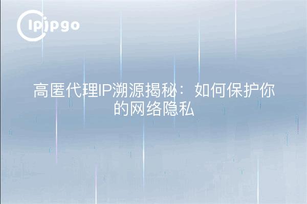 高匿代理IP溯源揭秘：如何保护你的网络隐私