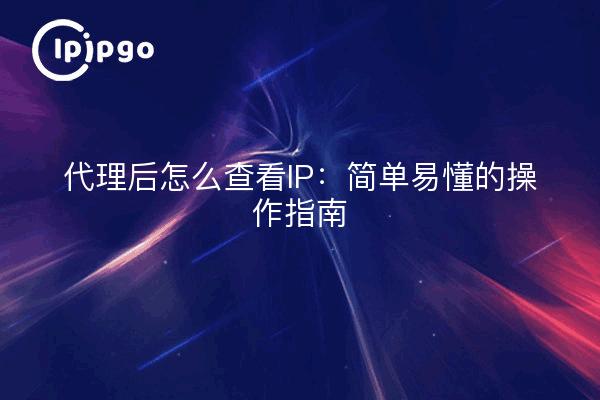 代理后怎么查看IP：简单易懂的操作指南