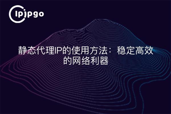 静态代理IP的使用方法：稳定高效的网络利器