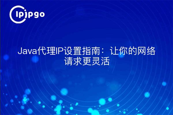 Java代理IP设置指南：让你的网络请求更灵活