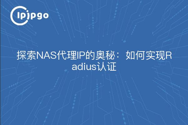 探索NAS代理IP的奥秘：如何实现Radius认证