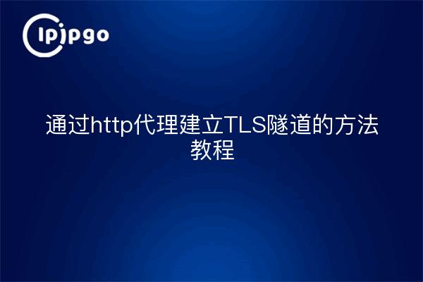 通过http代理建立TLS隧道的方法教程