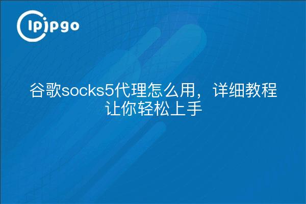 谷歌socks5代理怎么用，详细教程让你轻松上手