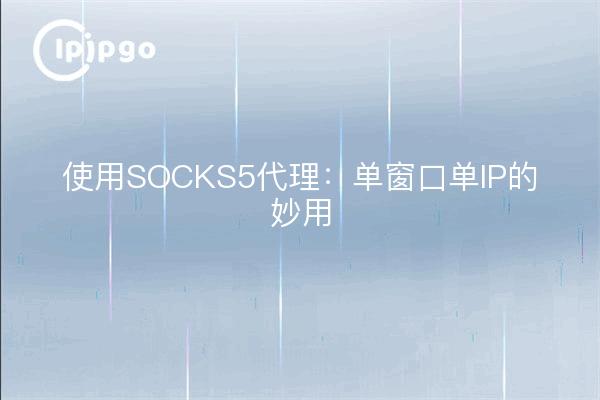 使用SOCKS5代理：单窗口单IP的妙用