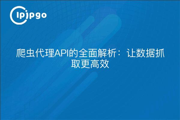 爬虫代理API的全面解析：让数据抓取更高效