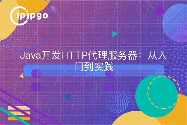 Java开发HTTP代理服务器：从入门到实践