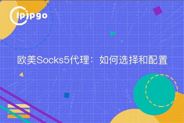 欧美Socks5代理：如何选择和配置