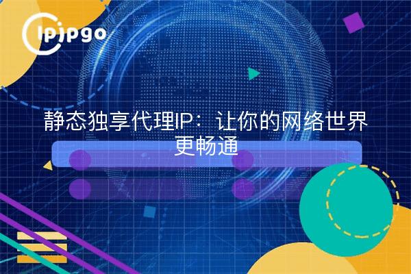 静态独享代理IP：让你的网络世界更畅通